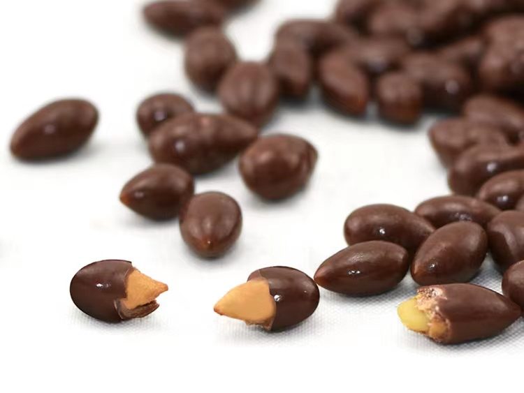 dark-chocolate-covered-sunflower-seeds-bulk-custom-snacks