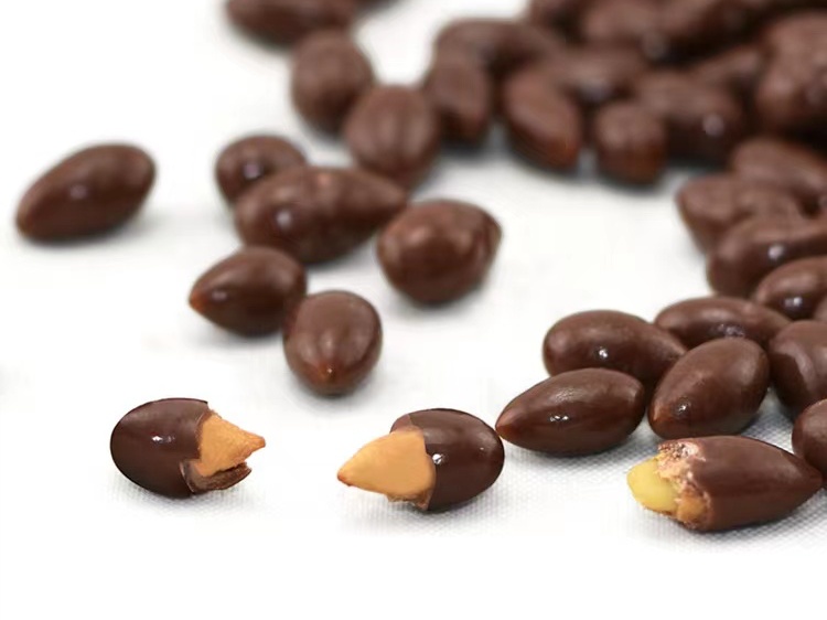 dark-chocolate-covered-sunflower-seeds-bulk