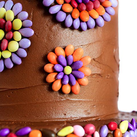 chocolate-covered-sunflower-seed-on-cake