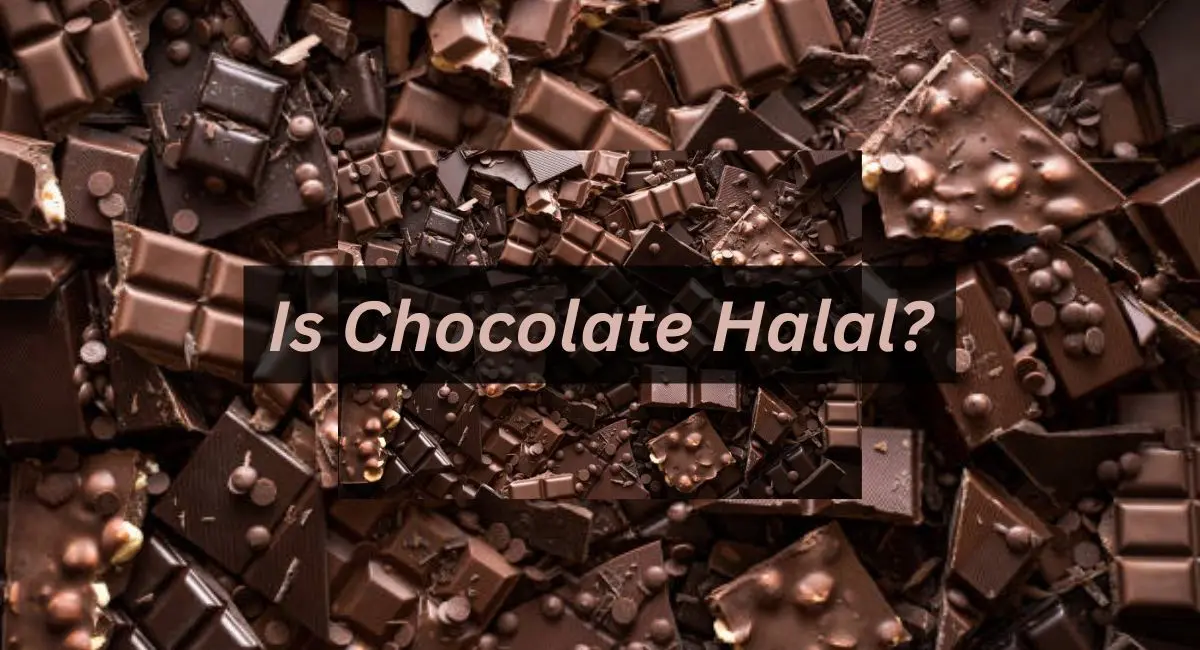 What Chocolate Snack Is Halal